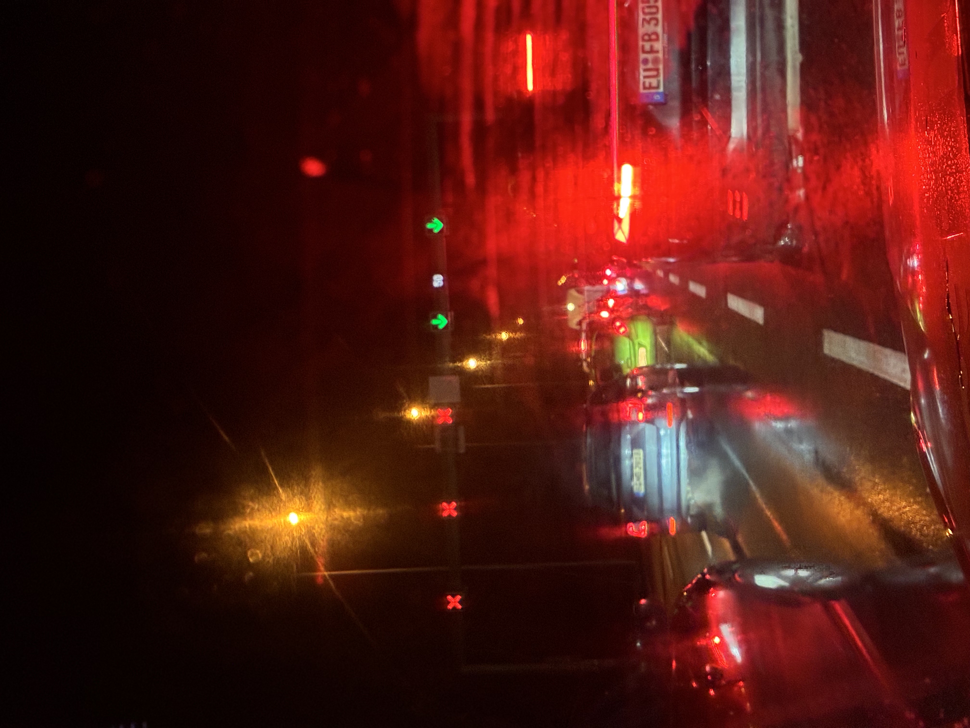 Correlations, Copying, and “Darwinism” in Quantum Physics